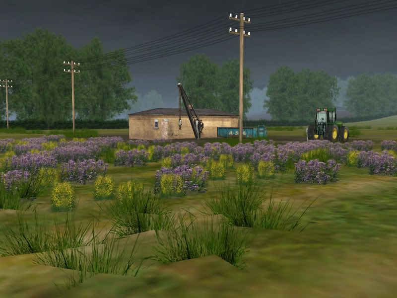 Screen_237copy.jpg