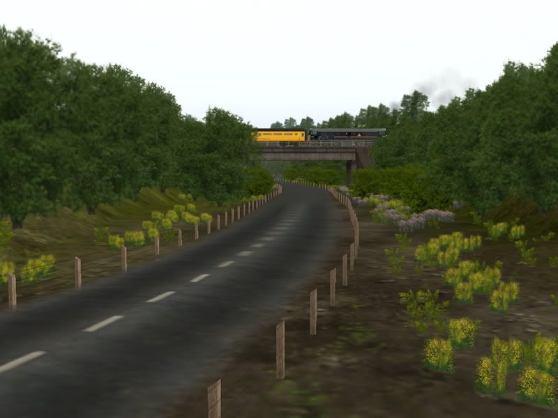 Screen_713copy.jpg