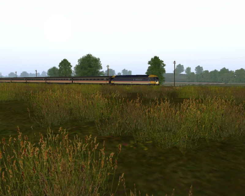 Screen_804copy.jpg