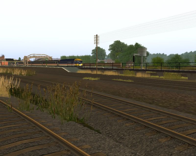 Screen_806copy.jpg