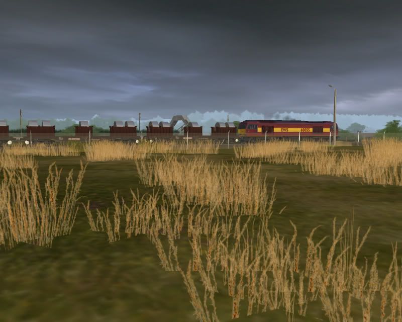 Screen_907copy.jpg