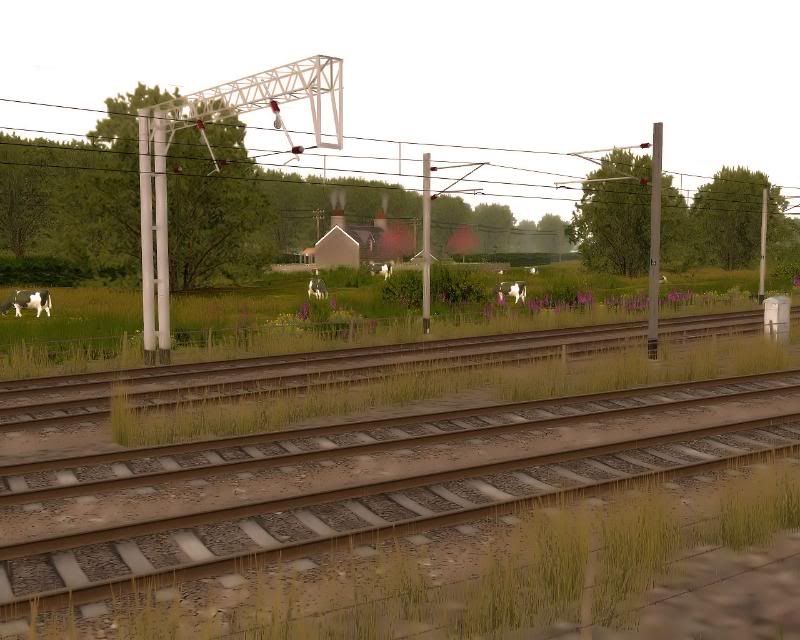 emo88_20110306_0002.jpg