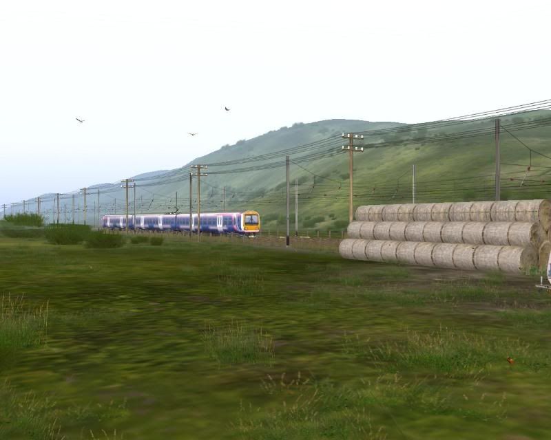 emo_20091112_0000.jpg