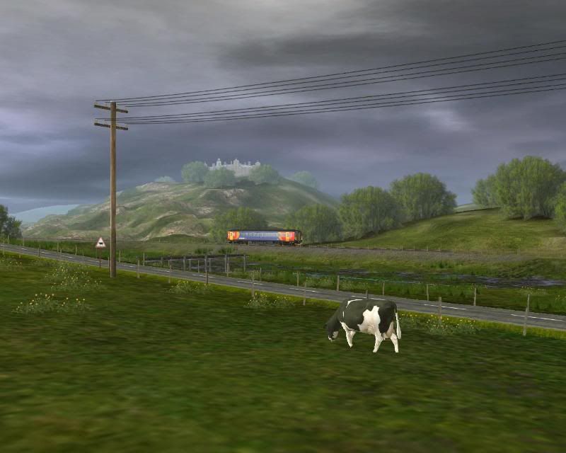 emo_20100623_0004.jpg