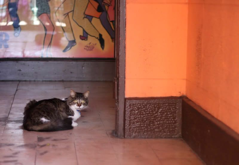 IMAGE: http://i101.photobucket.com/albums/m66/kjustiss/40DJune13209.jpg