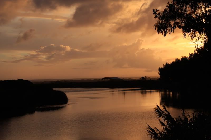 IMAGE: http://i101.photobucket.com/albums/m66/kjustiss/40DJune28267.jpg