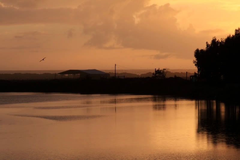 IMAGE: http://i101.photobucket.com/albums/m66/kjustiss/40DJune28271.jpg