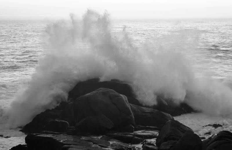 IMAGE: http://i101.photobucket.com/albums/m66/kjustiss/40DJune29731.jpg