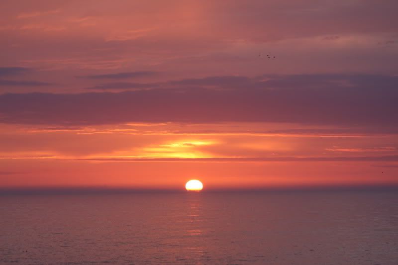 IMAGE: http://i101.photobucket.com/albums/m66/kjustiss/40DMay28016.jpg