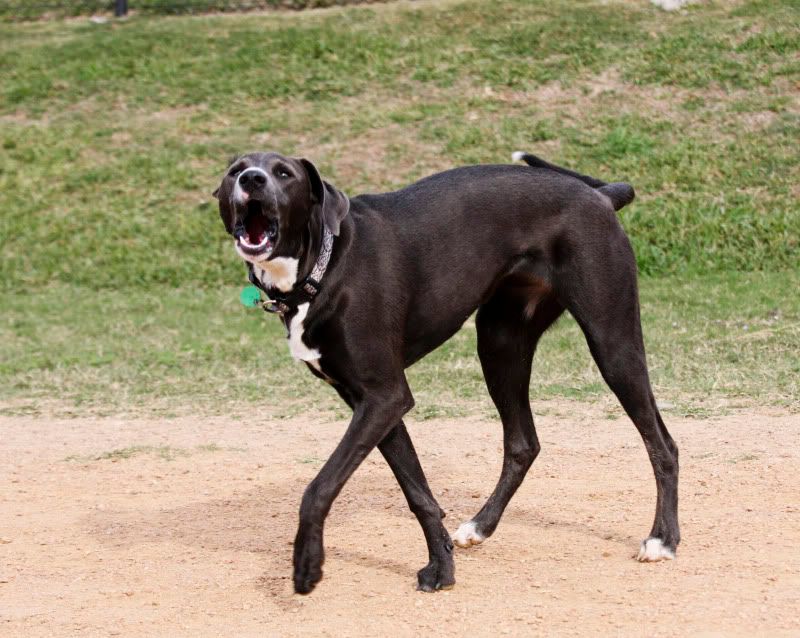 IMAGE: http://i101.photobucket.com/albums/m66/kjustiss/IMG_0422.jpg