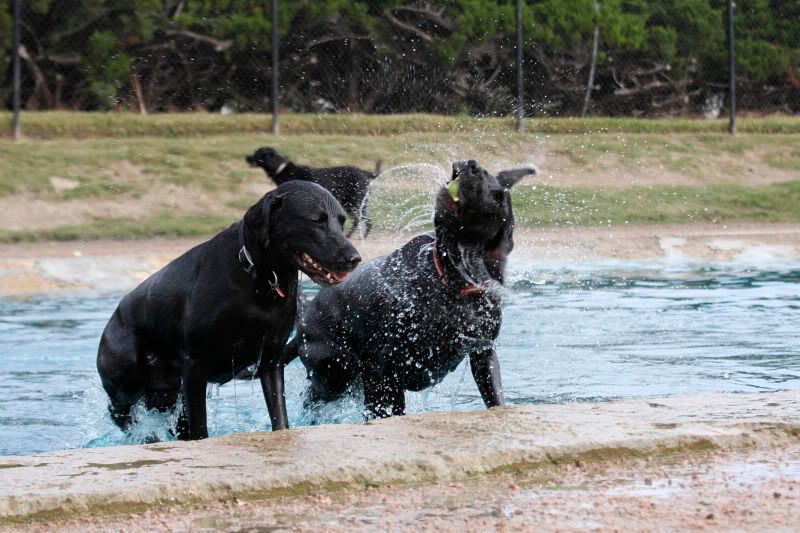 IMAGE: http://i101.photobucket.com/albums/m66/kjustiss/IMG_0449.jpg