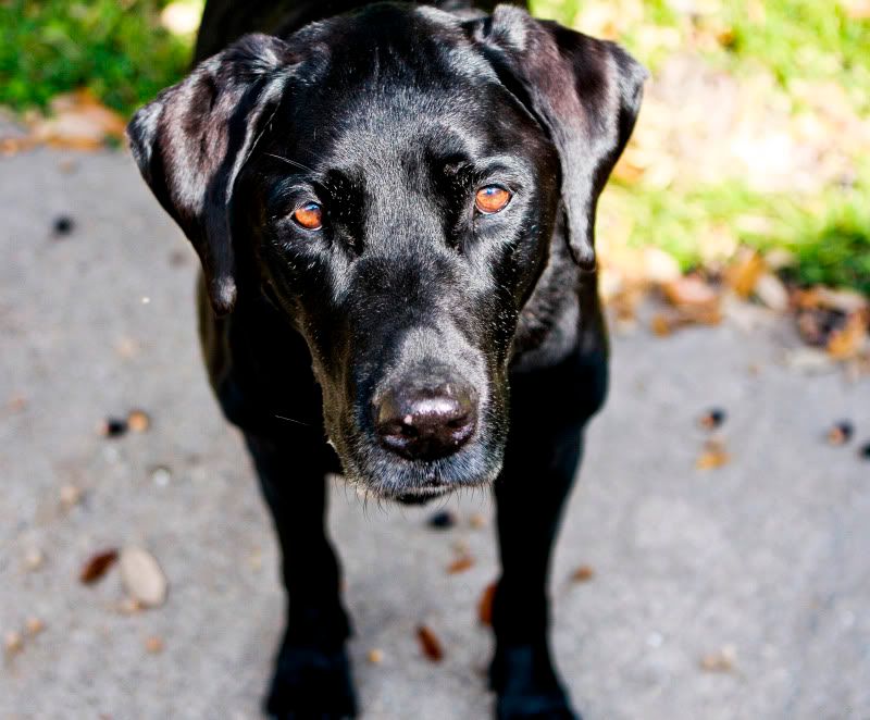 IMAGE: http://i101.photobucket.com/albums/m66/kjustiss/IMG_0523.jpg