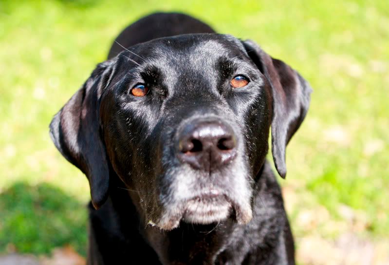 IMAGE: http://i101.photobucket.com/albums/m66/kjustiss/IMG_0526.jpg