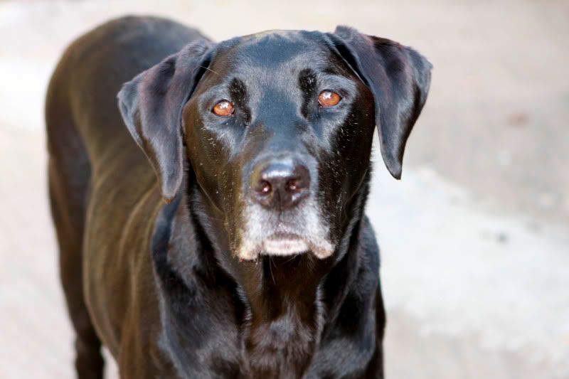 IMAGE: http://i101.photobucket.com/albums/m66/kjustiss/IMG_0622.jpg