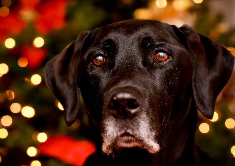 IMAGE: http://i101.photobucket.com/albums/m66/kjustiss/IMG_2116.jpg