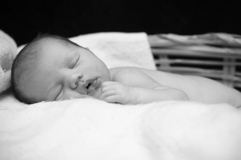 IMAGE: http://i101.photobucket.com/albums/m66/kjustiss/IMG_22632-1.jpg