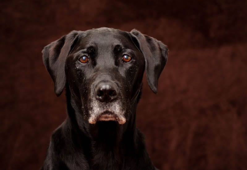 IMAGE: http://i101.photobucket.com/albums/m66/kjustiss/IMG_2924.jpg