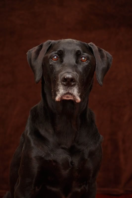 IMAGE: http://i101.photobucket.com/albums/m66/kjustiss/IMG_2926.jpg