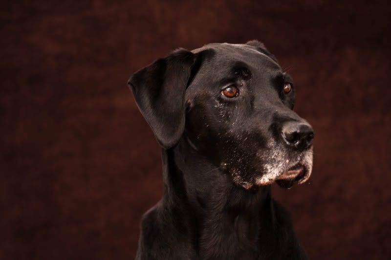 IMAGE: http://i101.photobucket.com/albums/m66/kjustiss/IMG_2943.jpg