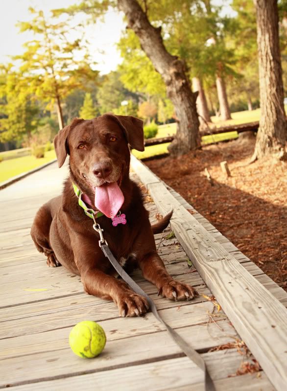 IMAGE: http://i101.photobucket.com/albums/m66/kjustiss/IMG_4635Floraboardwalk2.jpg