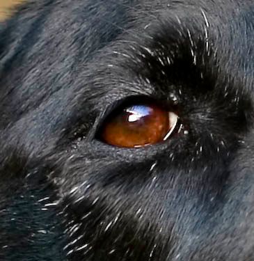 IMAGE: http://i101.photobucket.com/albums/m66/kjustiss/IMG_5330-2.jpg