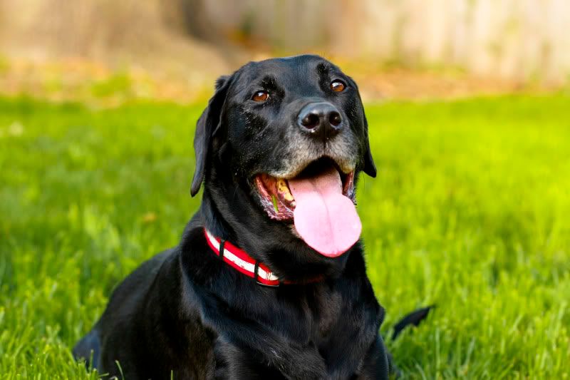 IMAGE: http://i101.photobucket.com/albums/m66/kjustiss/IMG_5330.jpg