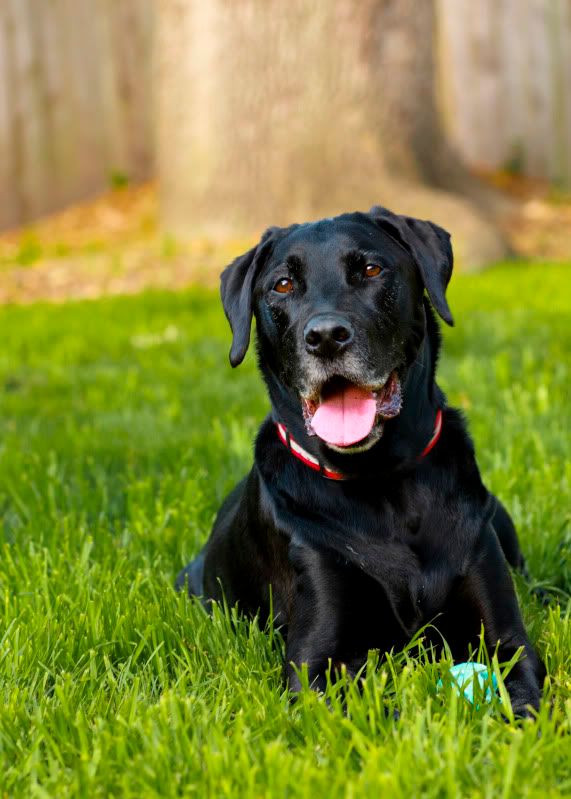 IMAGE: http://i101.photobucket.com/albums/m66/kjustiss/IMG_5340.jpg