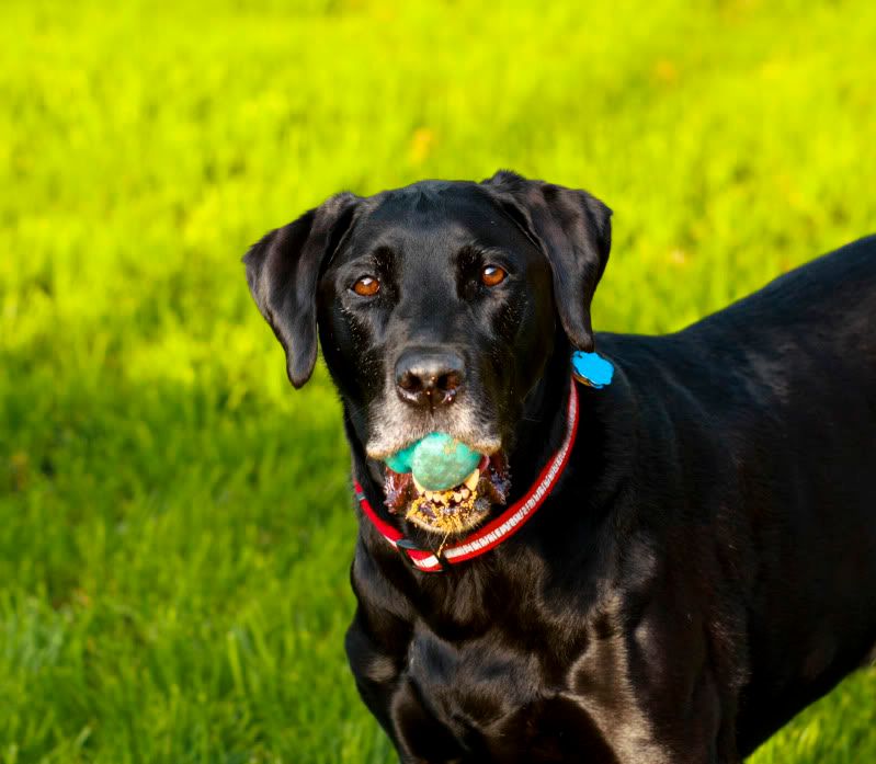 IMAGE: http://i101.photobucket.com/albums/m66/kjustiss/IMG_5344.jpg