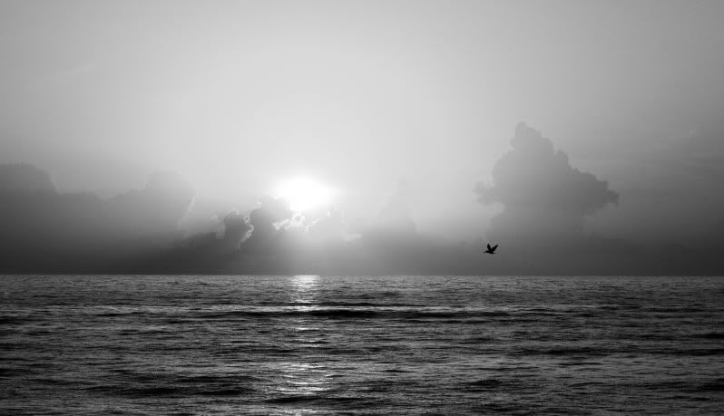 IMAGE: http://i101.photobucket.com/albums/m66/kjustiss/IMG_5840.jpg