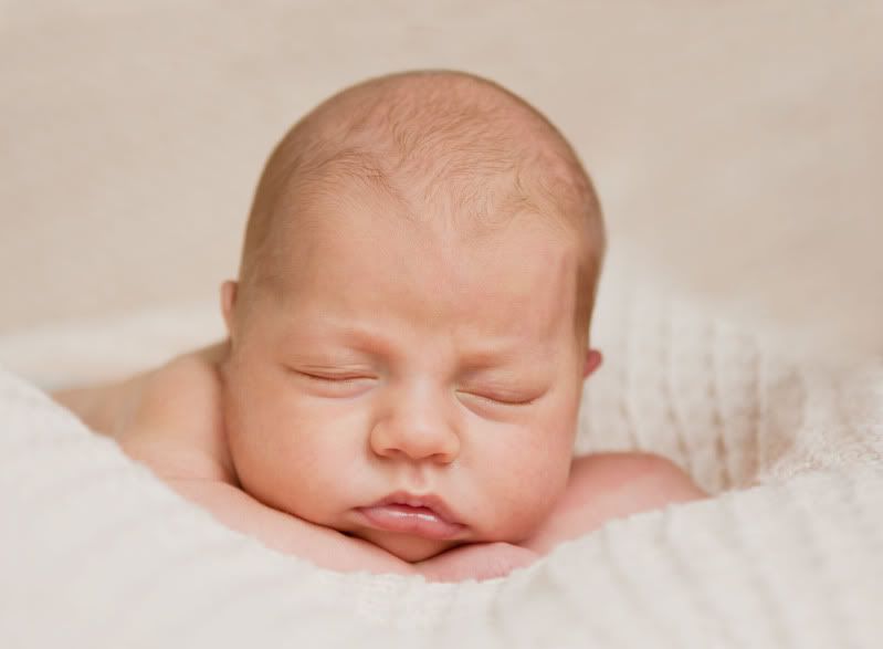 IMAGE: http://i101.photobucket.com/albums/m66/kjustiss/IMG_7951-for-web.jpg