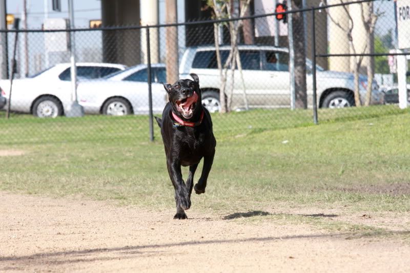 IMAGE: http://i101.photobucket.com/albums/m66/kjustiss/IMG_9891.jpg