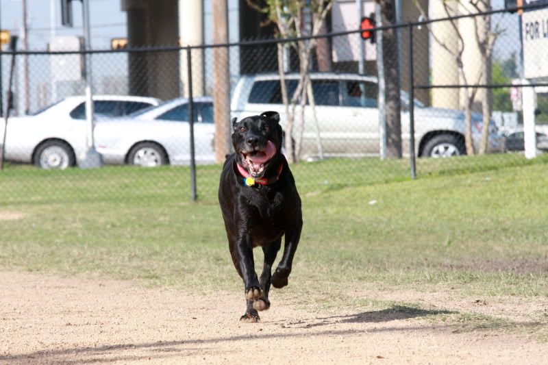 IMAGE: http://i101.photobucket.com/albums/m66/kjustiss/IMG_9892.jpg