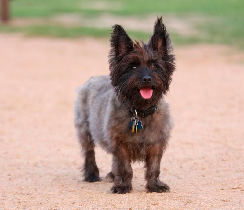 IMAGE: http://i101.photobucket.com/albums/m66/kjustiss/Littleguy.jpg