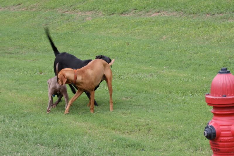 IMAGE: http://i101.photobucket.com/albums/m66/kjustiss/threesome.jpg