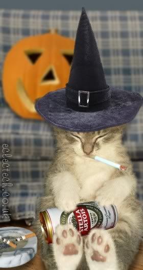 Witchcat.jpg Witch cat image by mariaik