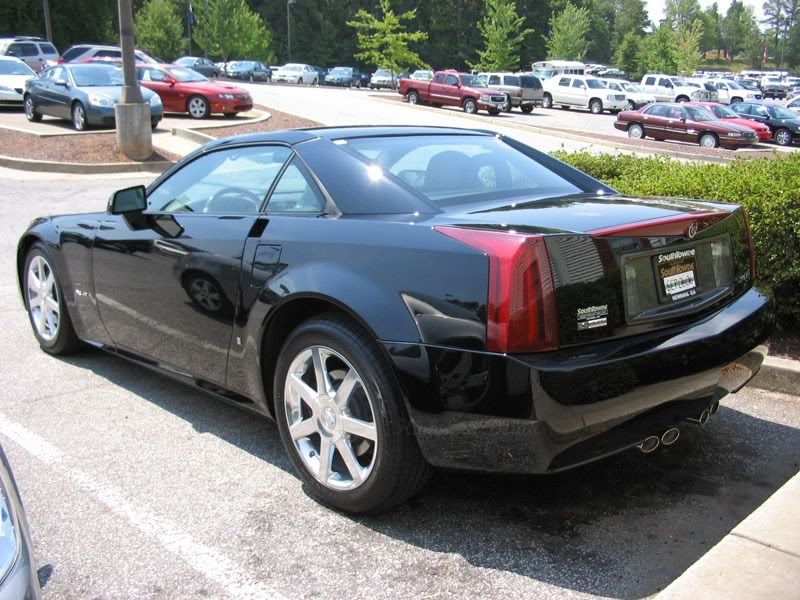 IMG_1991XLR.jpg