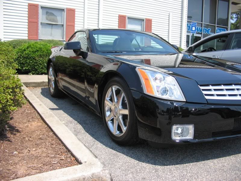 IMG_1996XLR.jpg