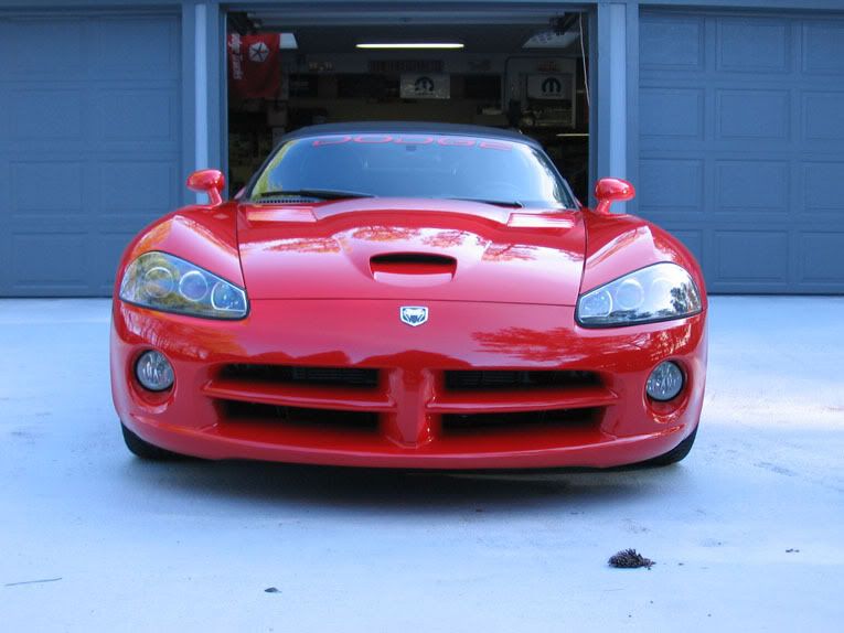 IMG_2450viper03.jpg