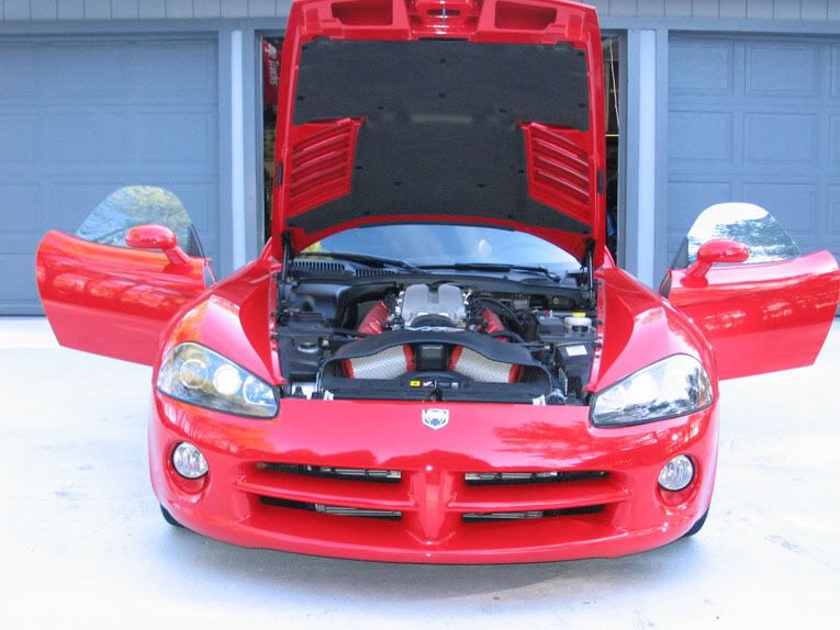 IMG_2471viper03.jpg