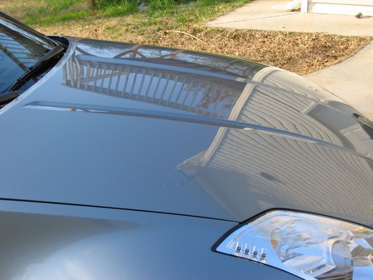 IMG_2489zo6350z.jpg