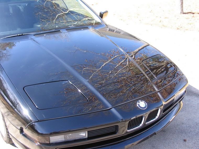 IMG_2600BMW850i.jpg