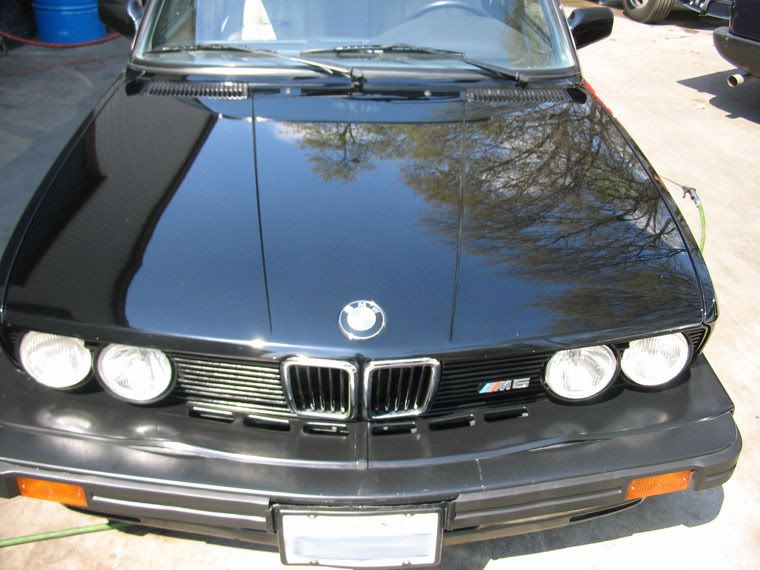 IMG_2719bmwM5.jpg