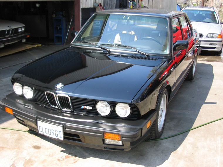 IMG_2722bmwM5.jpg