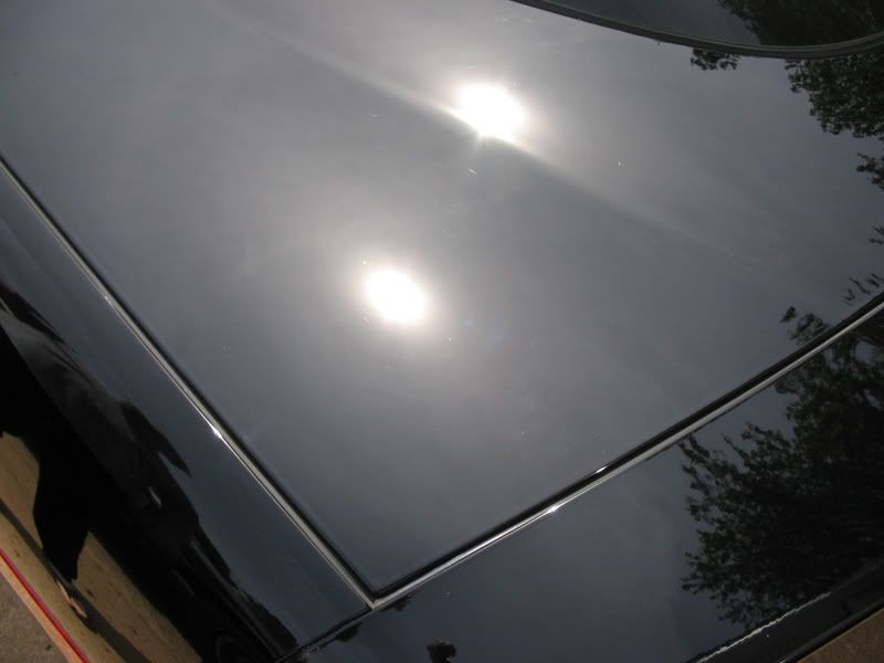 IMG_2804BlackC6.jpg