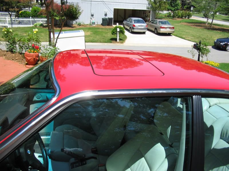 IMG_3163bmwM6.jpg