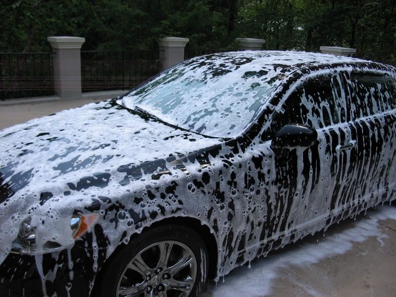 IMG_3174lexus.jpg