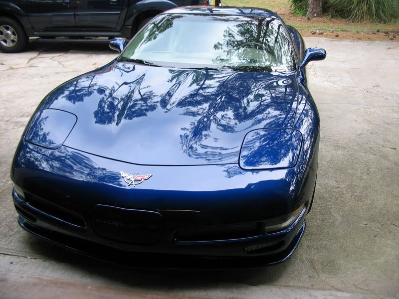 IMG_3312XMT180wax.jpg