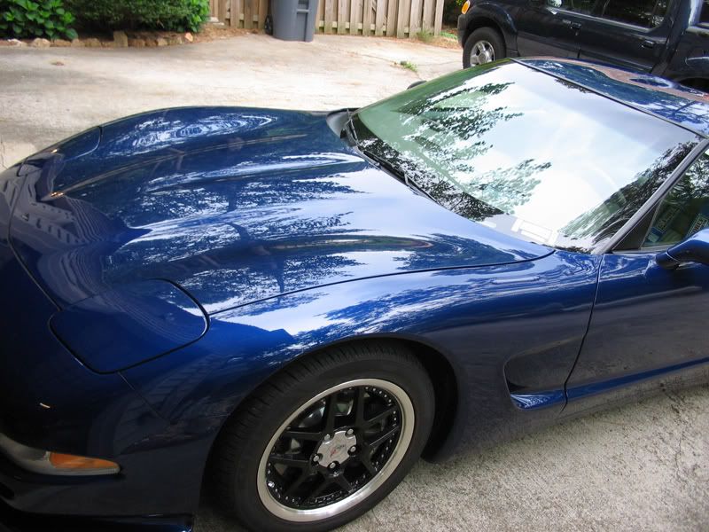 IMG_3317XMT180wax.jpg