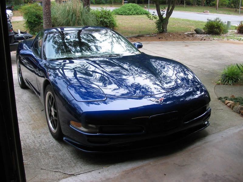 IMG_3325XMT180wax.jpg