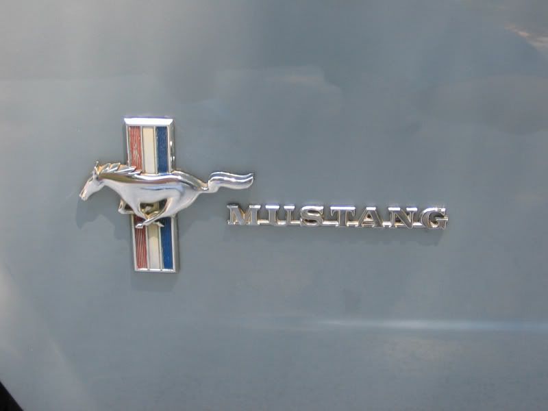 IMG_3365mustang64.jpg